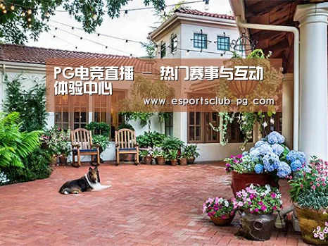 客户案例标题九