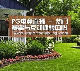PG电竞直播 - 热门赛事与互动体验中心