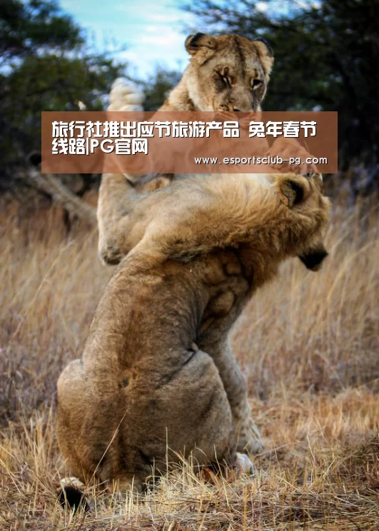 旅行社推出应节旅游产品 兔年春节线路|PG官网(图1) PG体育