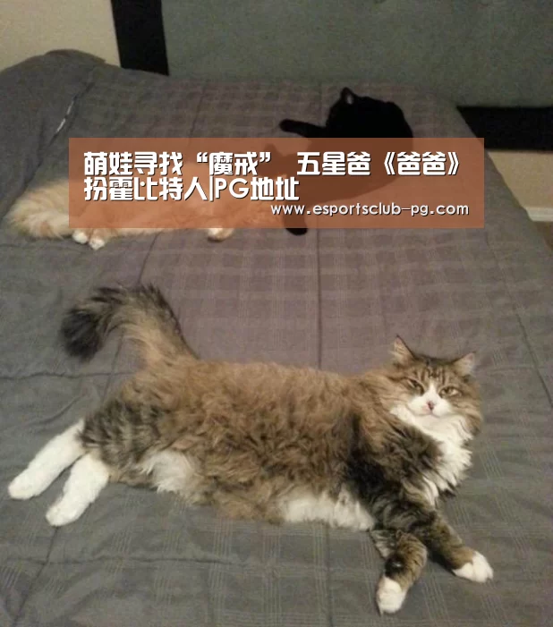 萌娃寻找“魔戒” 五星爸《爸爸》扮霍比特人|PG地址(图2) PG体育