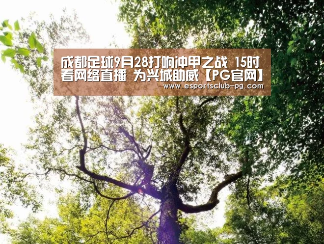 PG滚球