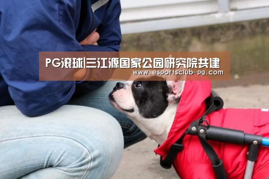 PG滚球|三江源国家公园研究院共建(图1) PG官网
