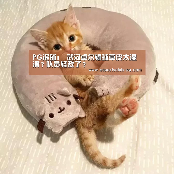 PG滚球:
武汉卓尔输球草皮太湿滑?队员轻敌了?(图3) PG滚球