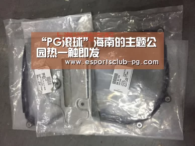 PG地址